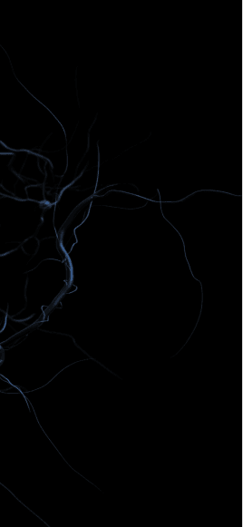 brain